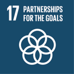 UN SDG 17